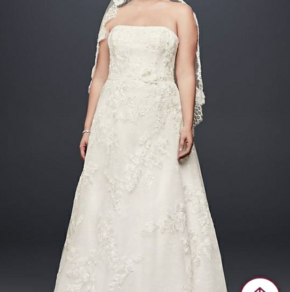 Oleg Cassini romantic sheer mesh appliqued wedding gown w/topper